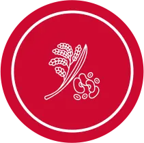 דגנים, גרעינים וקמחים מיוחדים